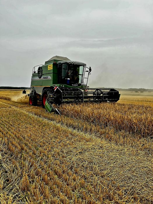 Usługi rolnicze Koszenie zbóż kukurydzy Siew pasowy STRIP TILL S