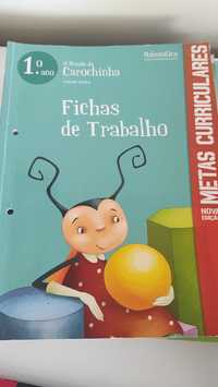 Livros fichas para 1 ano