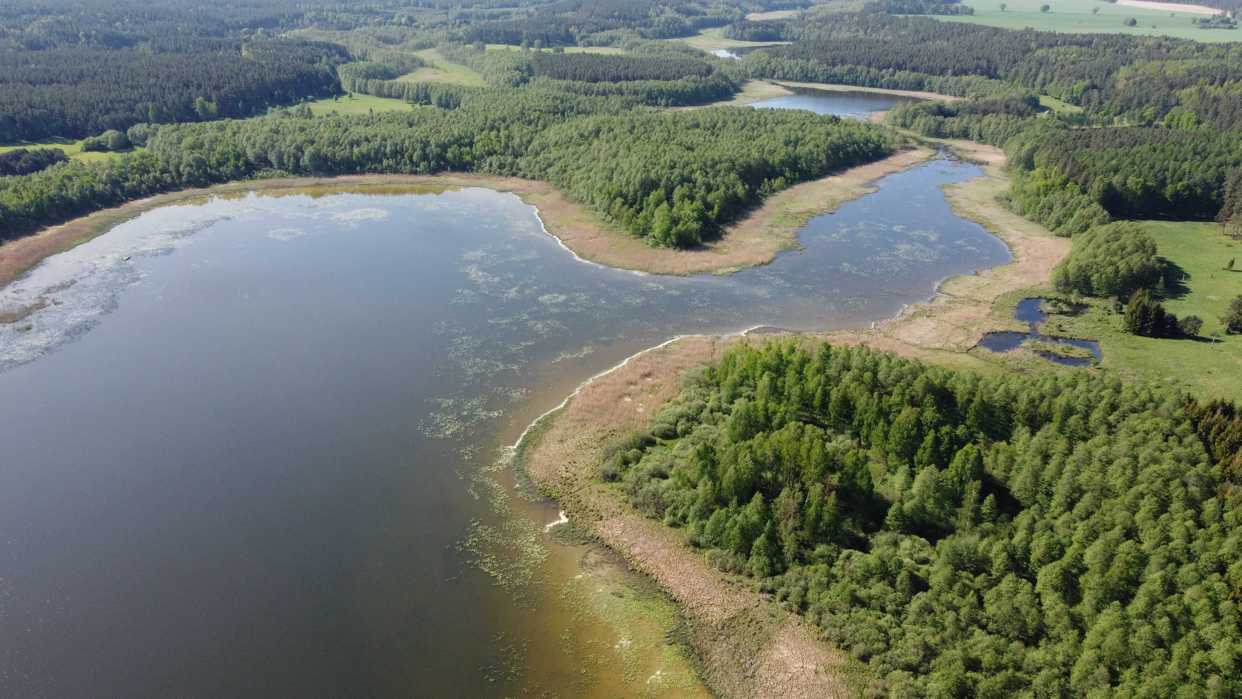 Działka z linią brzegową, Brzeźno Łyńskie, Mazury.