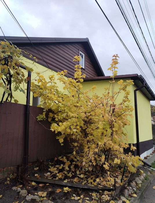 Продам будинок в центрі м.Суми. Р-н вул. Петропавлівська. А/О, ремонт.