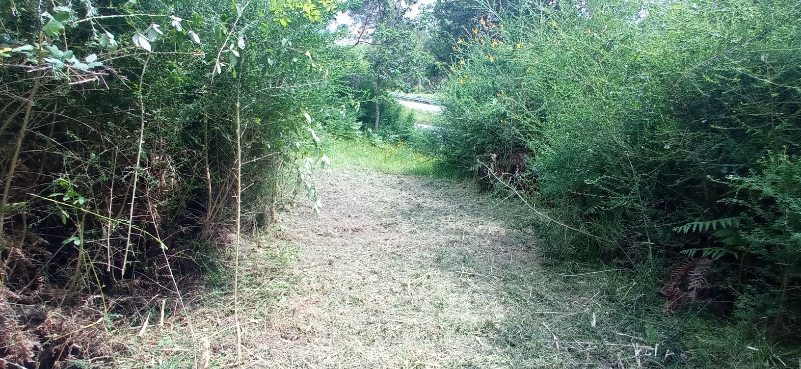 Faço limpeza de terreno e jardins com roçadeira