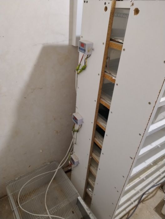 Rack na małe węże