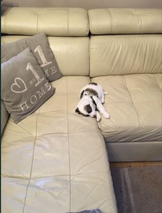 Sofa skórzana w kształcie litery L--Black Red White