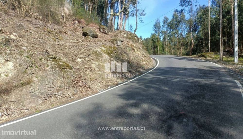 Venda Terreno  Vila Cova Penafiel