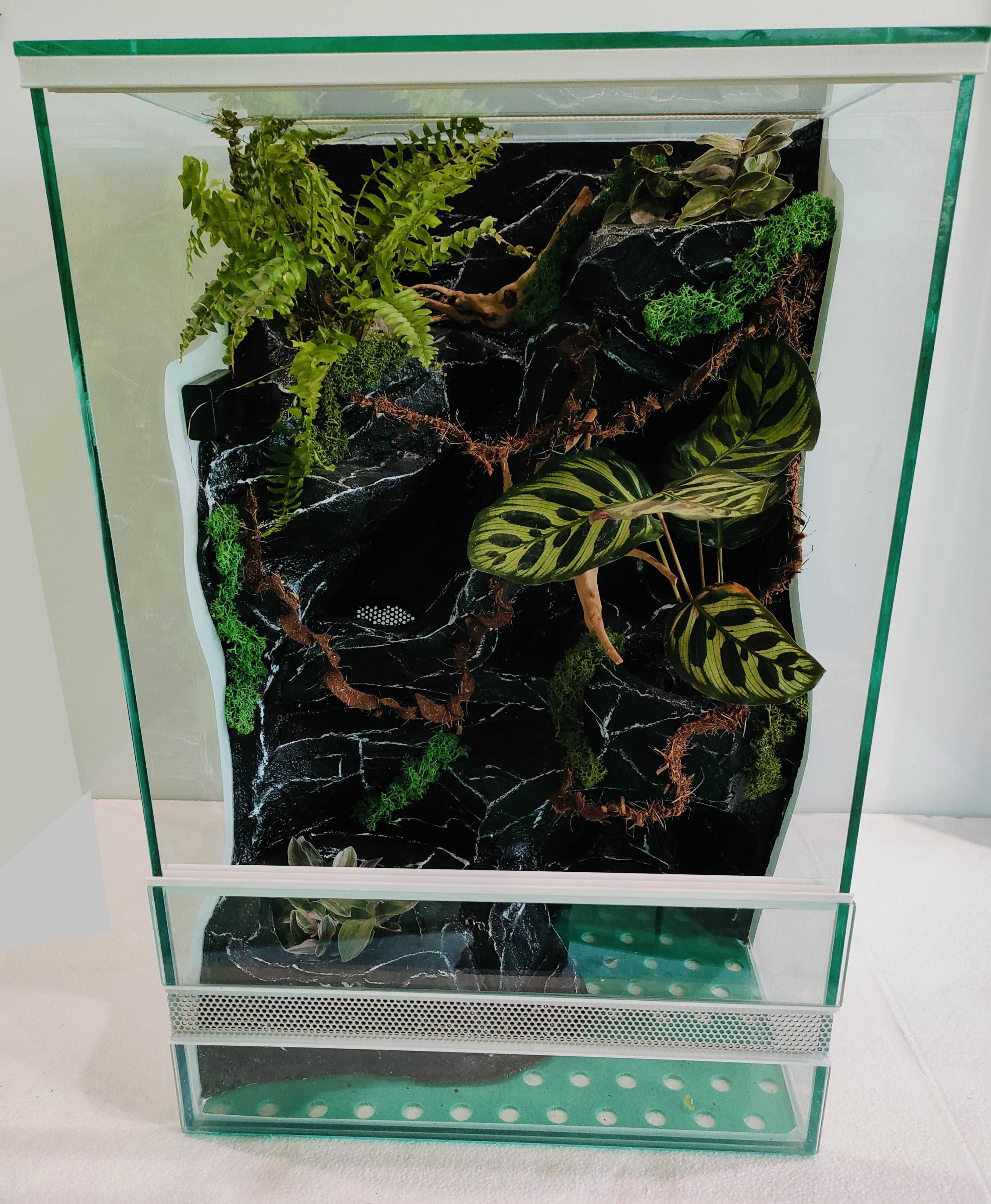 Terrarium z pełnym wyposażeniem dla gekona orzęsinego AquaWaves TW57WB