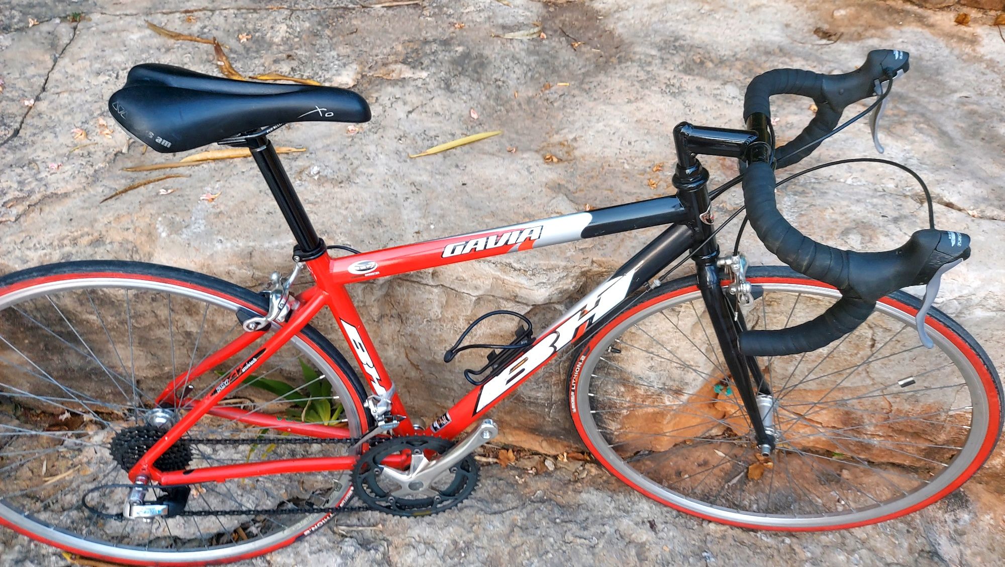 BH Gavia oportunidade t49