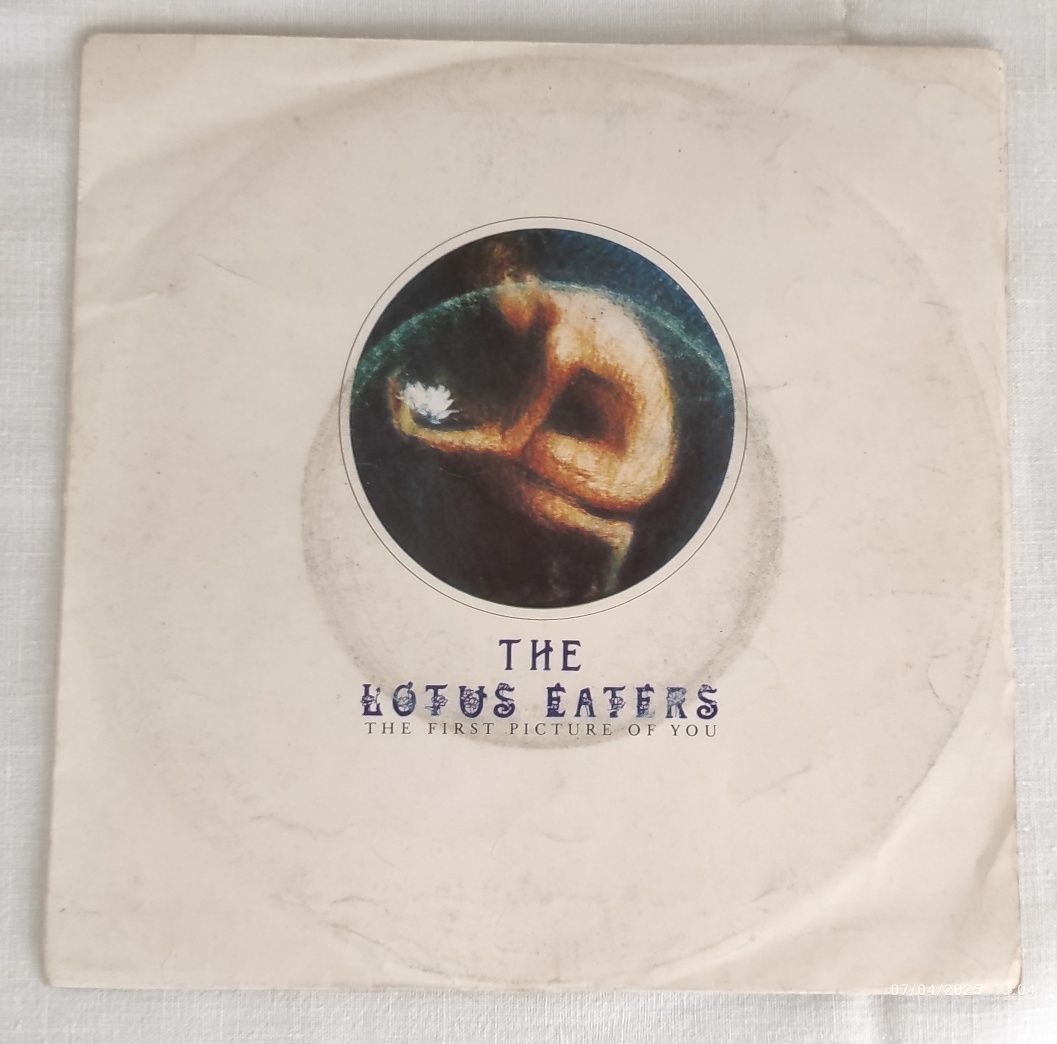 The Lotus Eaters - The First Picture Of You - Single