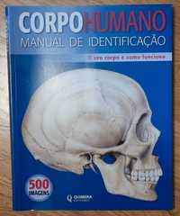 Corpo Humano - Material de Identificação