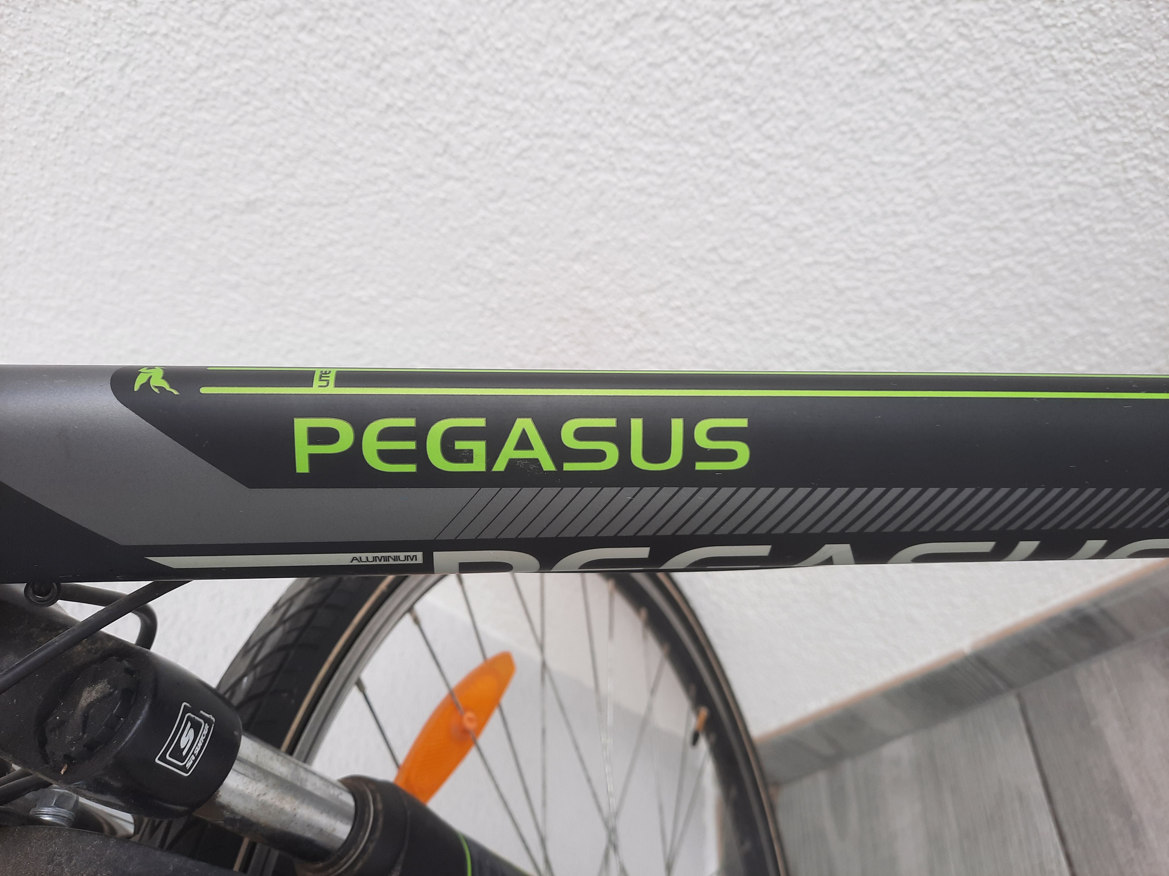 Rower męski Pegasus size 53