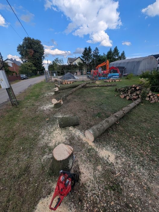 Wycinka i pielęgnacja drzew, ogrodnik, odśnieżanie dachów, frezowanie