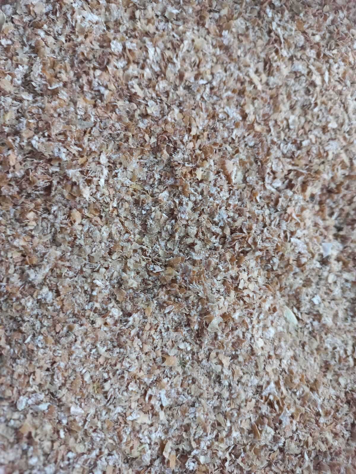 висівки з пшениці