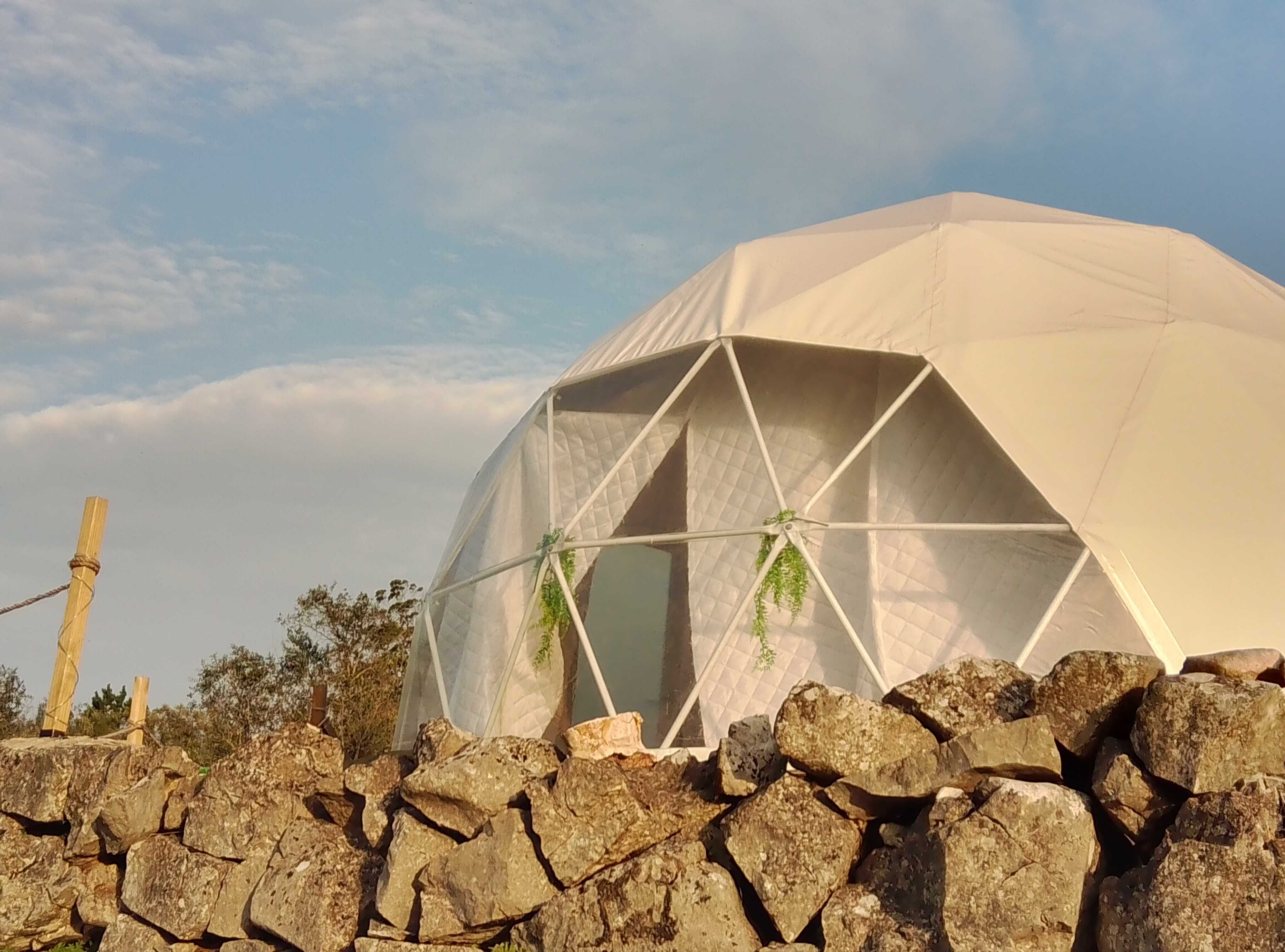 Dome geodésico 5m