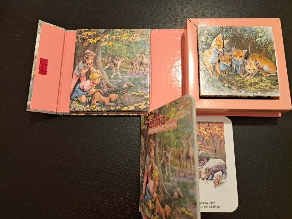 Anita Jogo cubos com livro Verbo