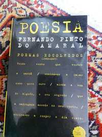 Livro fernando pinto do amaral prosa/ poesia