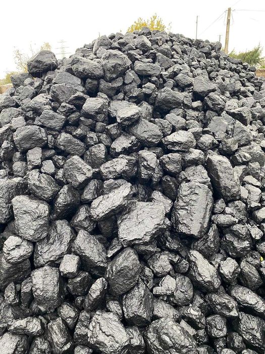 Polski Węgiel Kamienny Kostka  i Orzech KWK Piast-Ziemowit(Piast)