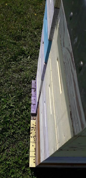 Продається пасіка! Бджоли! Карніка! Бджолопакети!