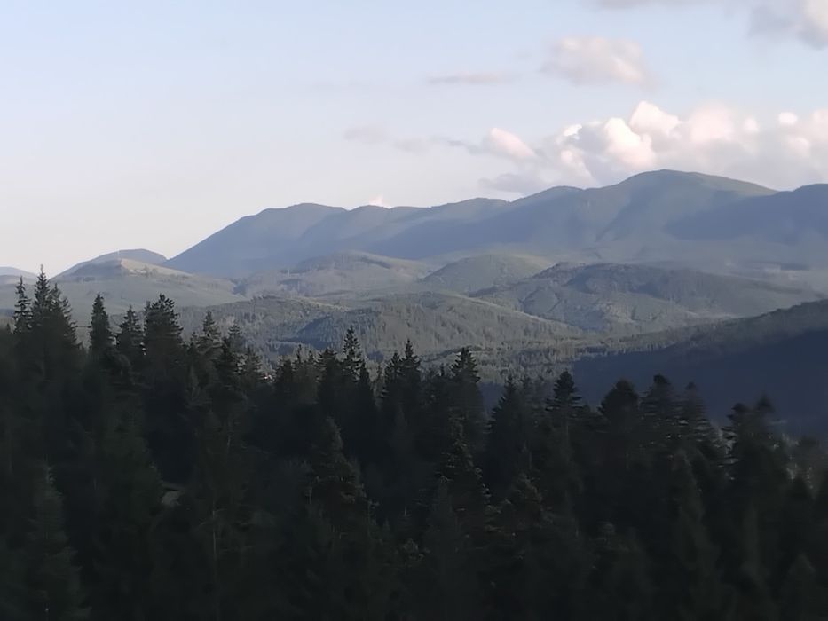 Відпочинок у Карпатах. Котедж "Під лісом".