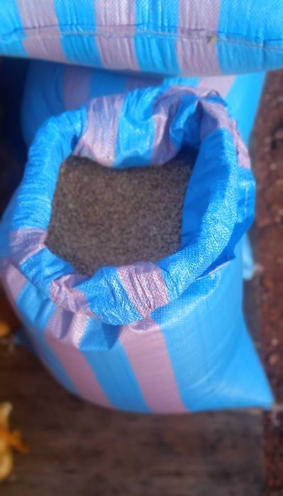 Sprzedam przenice tegoroczną 25zl.za 25kg