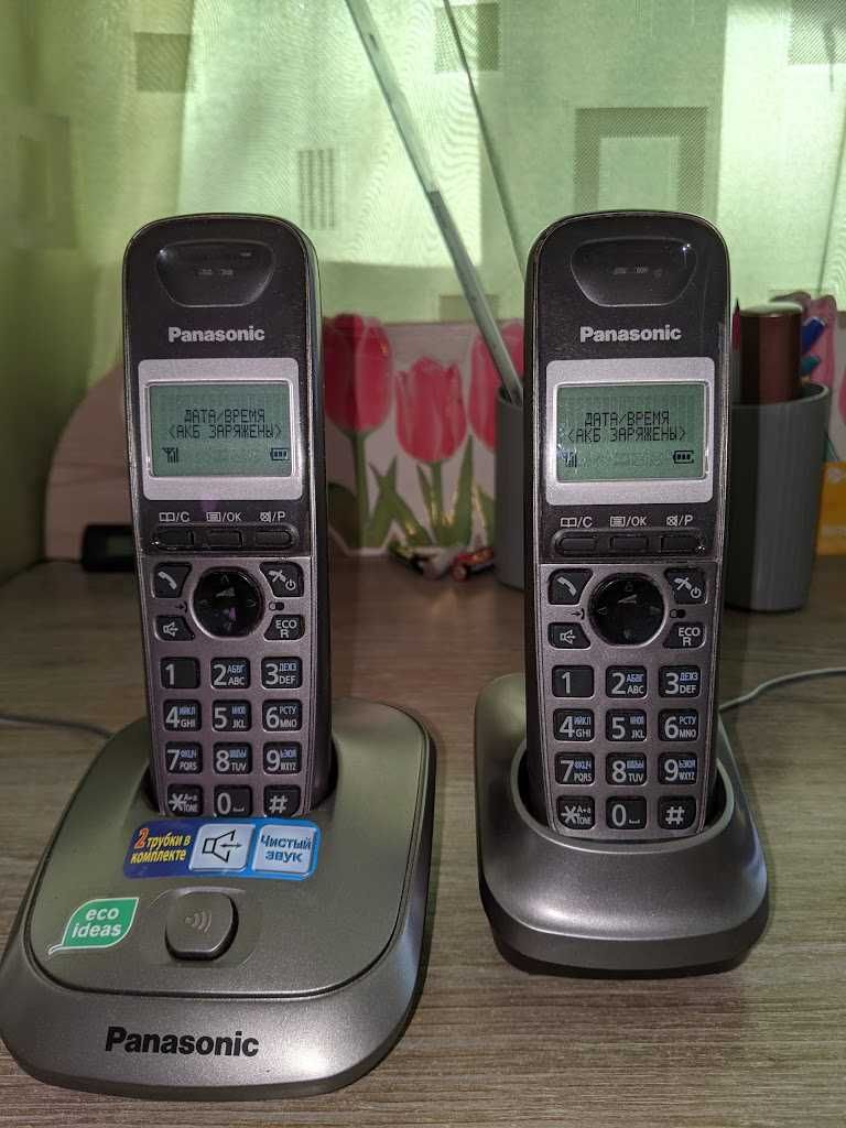 Телефон Panasonic KX-TG2512UA с двумя радиотрубками