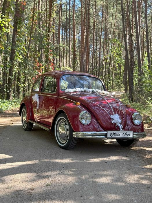 Zabytkowy Klasyk VW Garbus wynajem do ślubu, na sesje i inne okazje