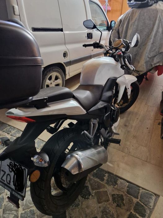 Sym Wolf 125cc 2019