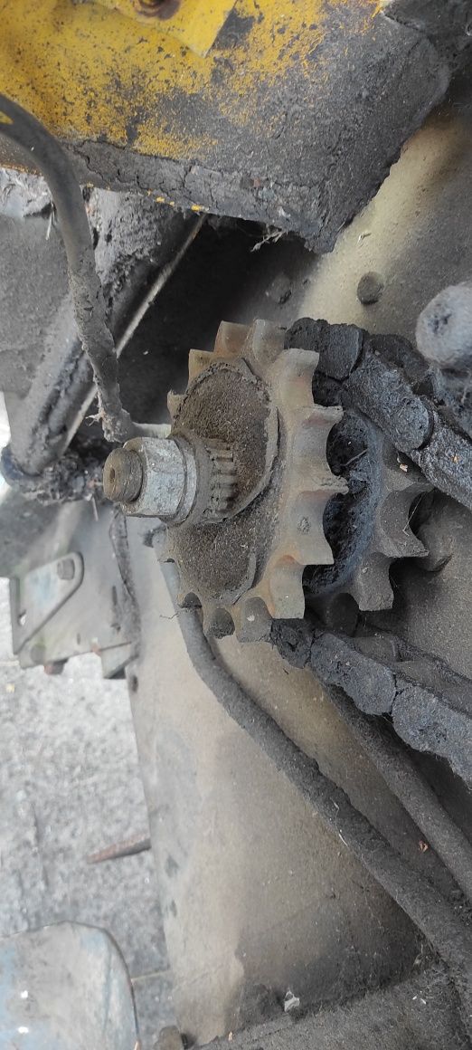 Koło zębate 1 cal.do prasy rivierre casalis, renault, vicon