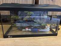 Akwarium DIVERSA STARTUP 60 LED zestaw