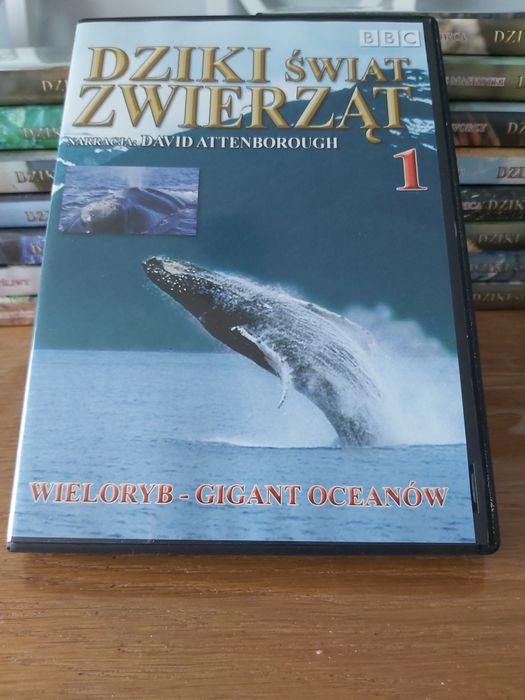 Dziki Świat Zwierząt 16 płyt DVD komplet BBC
