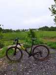 Rower Polygon Heist X7