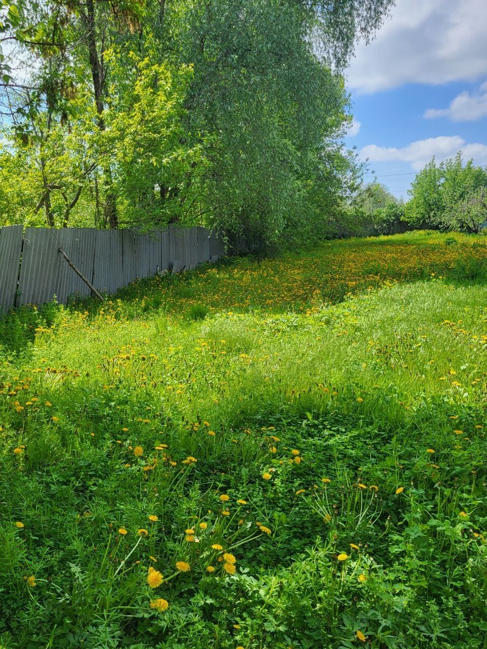 Продам свой участок в Песочине возле Мобиля.