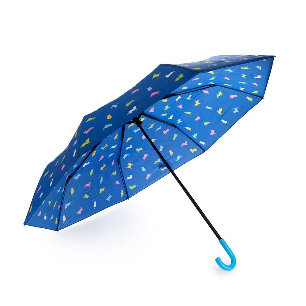 Parasol w kolorowe kotki