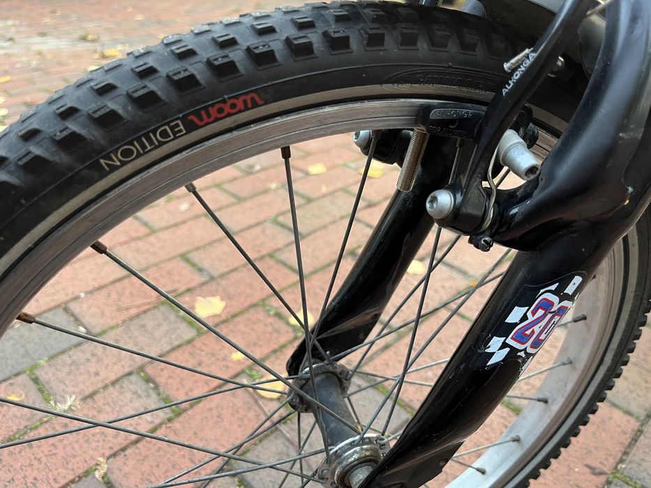 Rower bez wkładu od 5 lat koła 20” 6 biegów