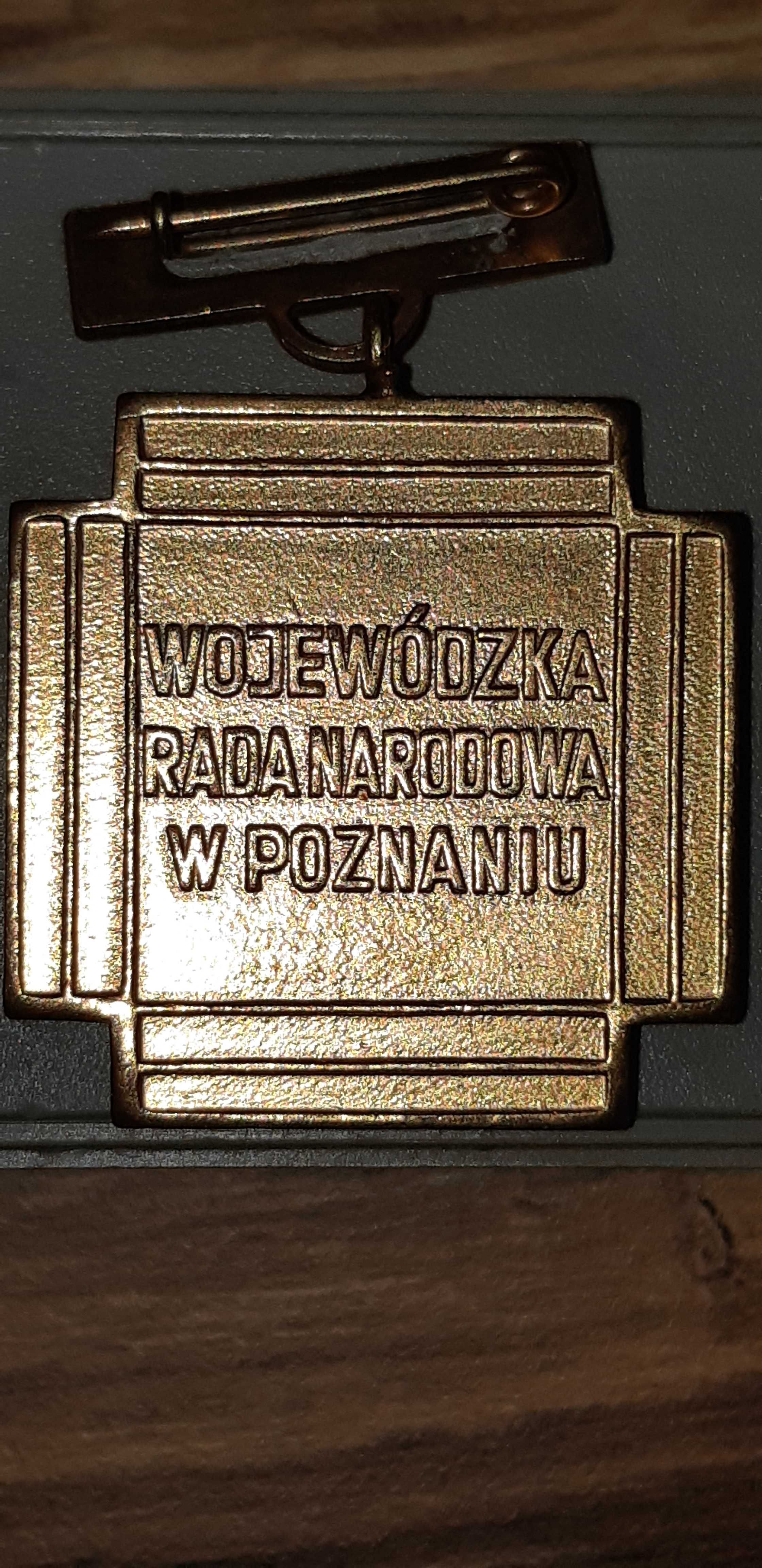 Za zasługi w rozwoju województwa poznańskiego