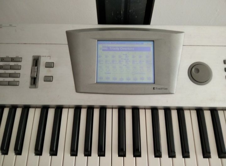 KORG Trinity Plus - 61 teclas + extras