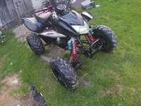 Shineray 300/250