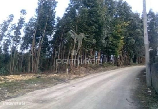 Terreno Rústico com possibilidade de construção industrial