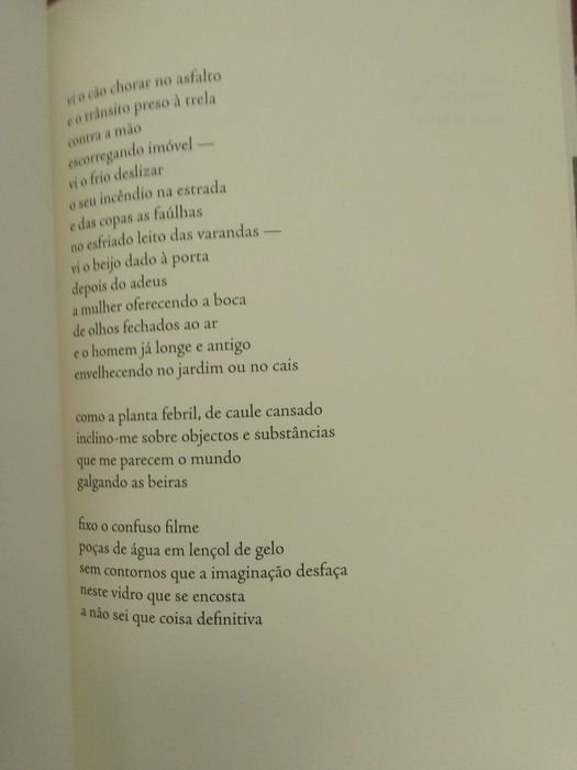 Manuel Alberto Vieira - Da pétala, gume