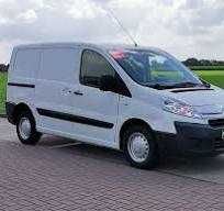 Transport, przewóz zwierząt domowych, psy, koty i inne.