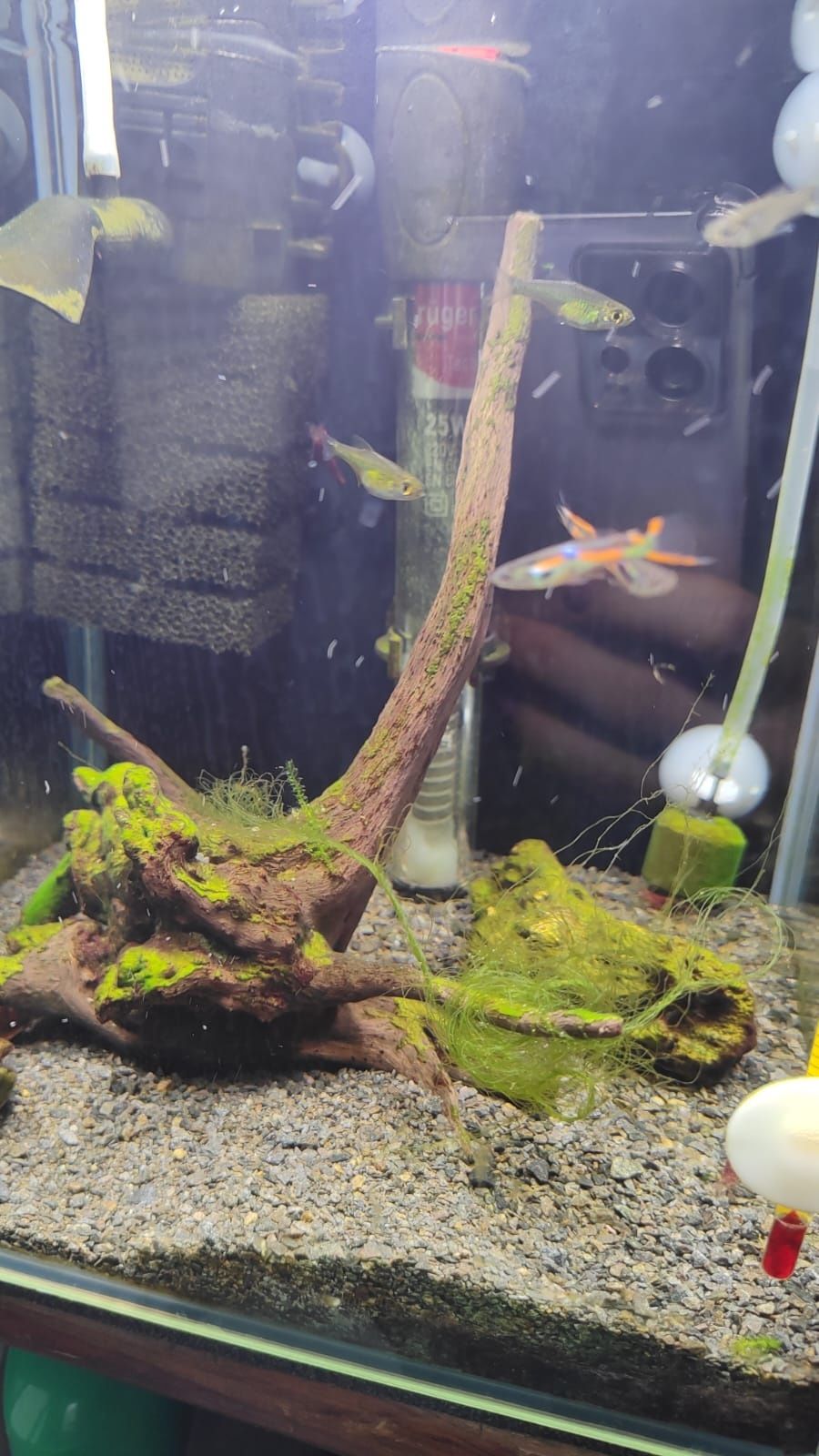 Akwarium AQUAEL 10L