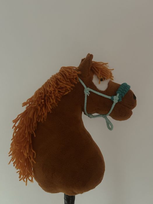 hobby horse rudy