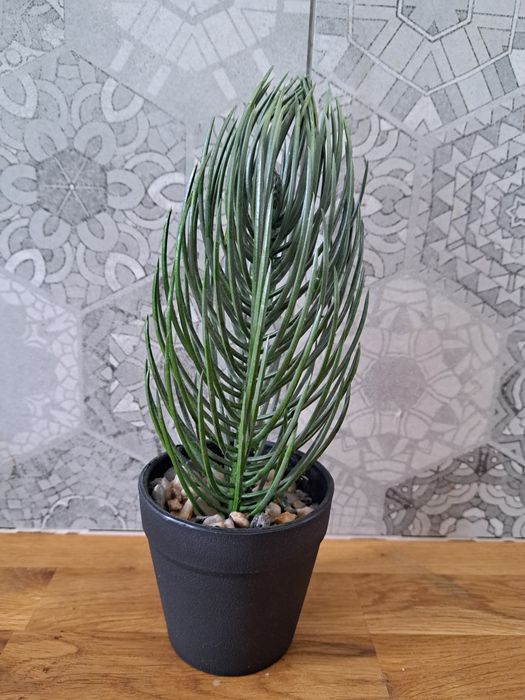 Dekoracja domu roslina sztuczna