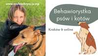 Behawiorysta behawiorystka psów i kotów