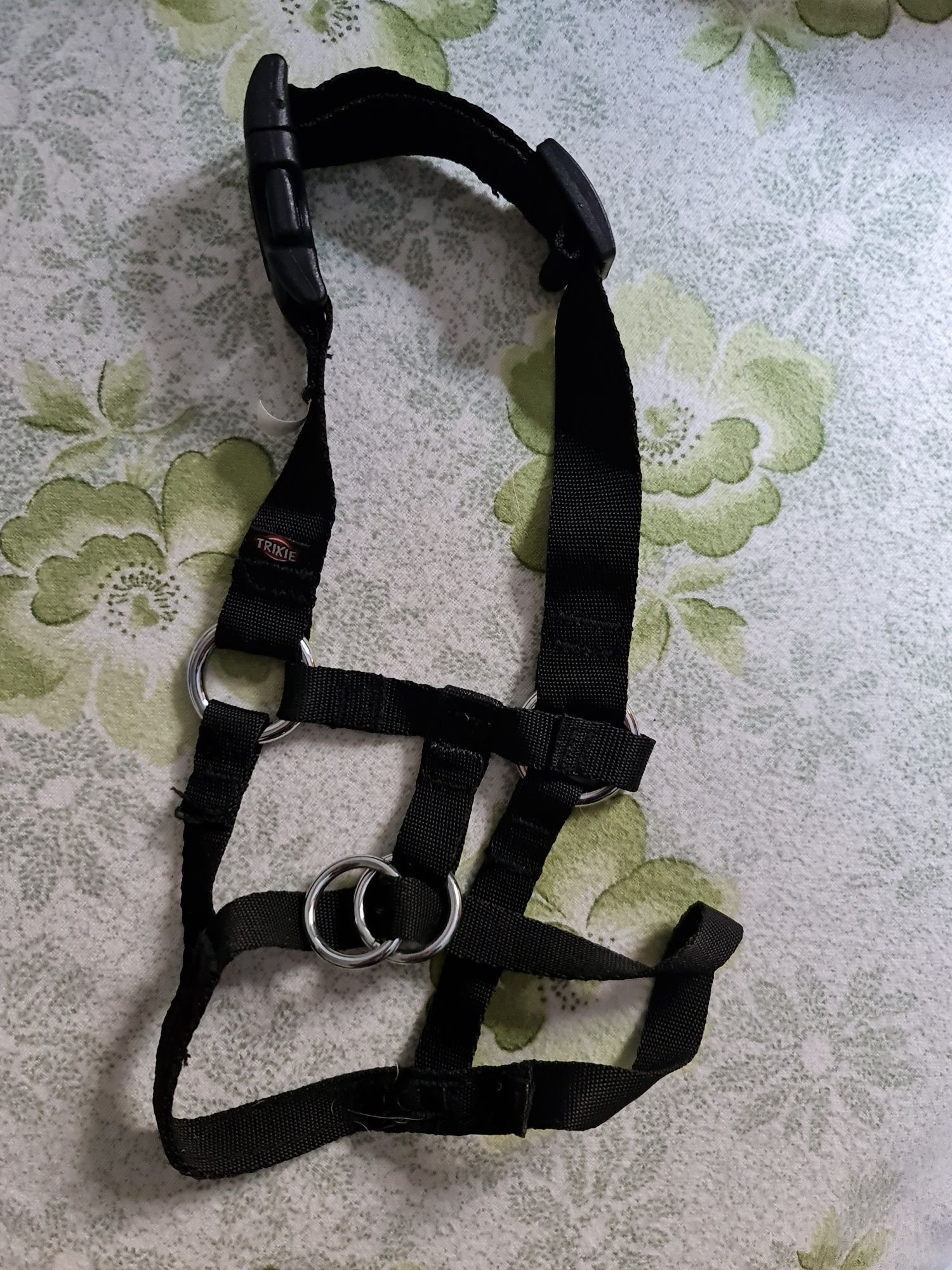 Açaime de treino para cão
