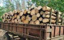 Продажа дров, быстро, качественно, без предоплаты