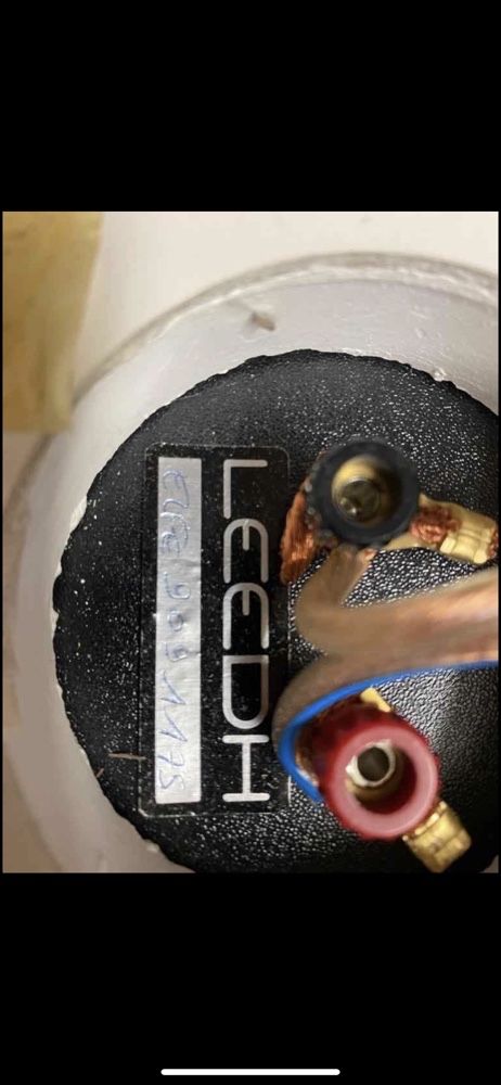 leedh elfe (focal audax)