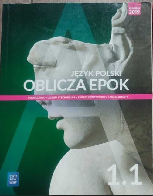 Oblicza epok 1.1. WSiP