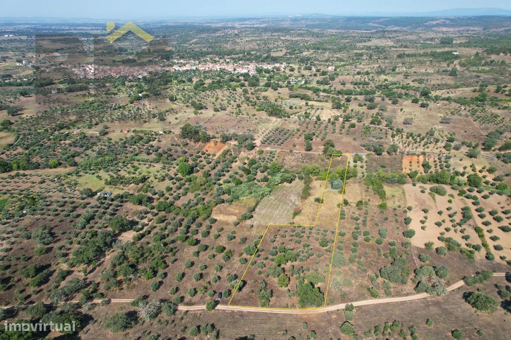 Terreno Rústico  Venda em Toulões,Idanha-a-Nova