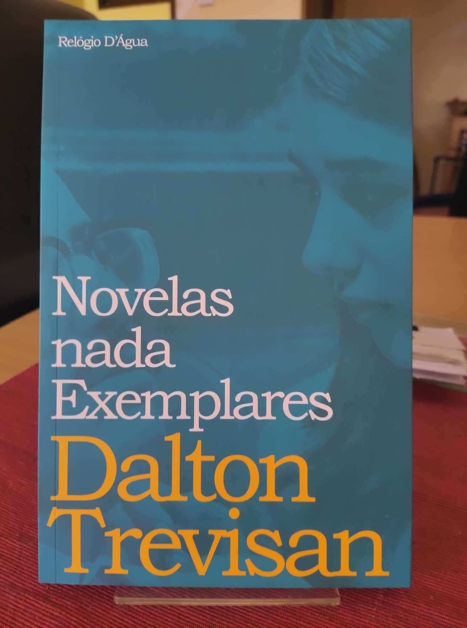 Livro “Novelas nada exemplares”