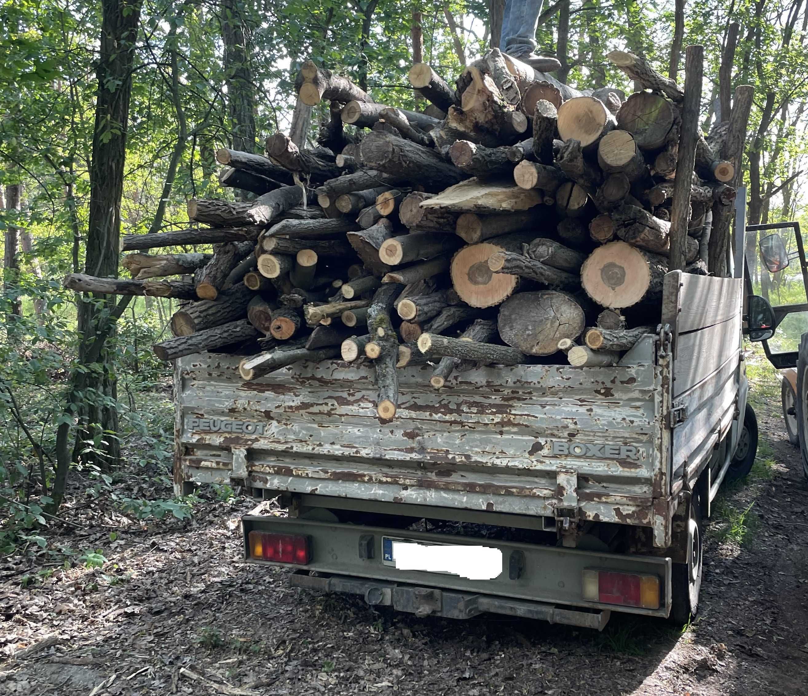 Dąb sosna drewno kominkowe, opałowe pocięte porąbane suche