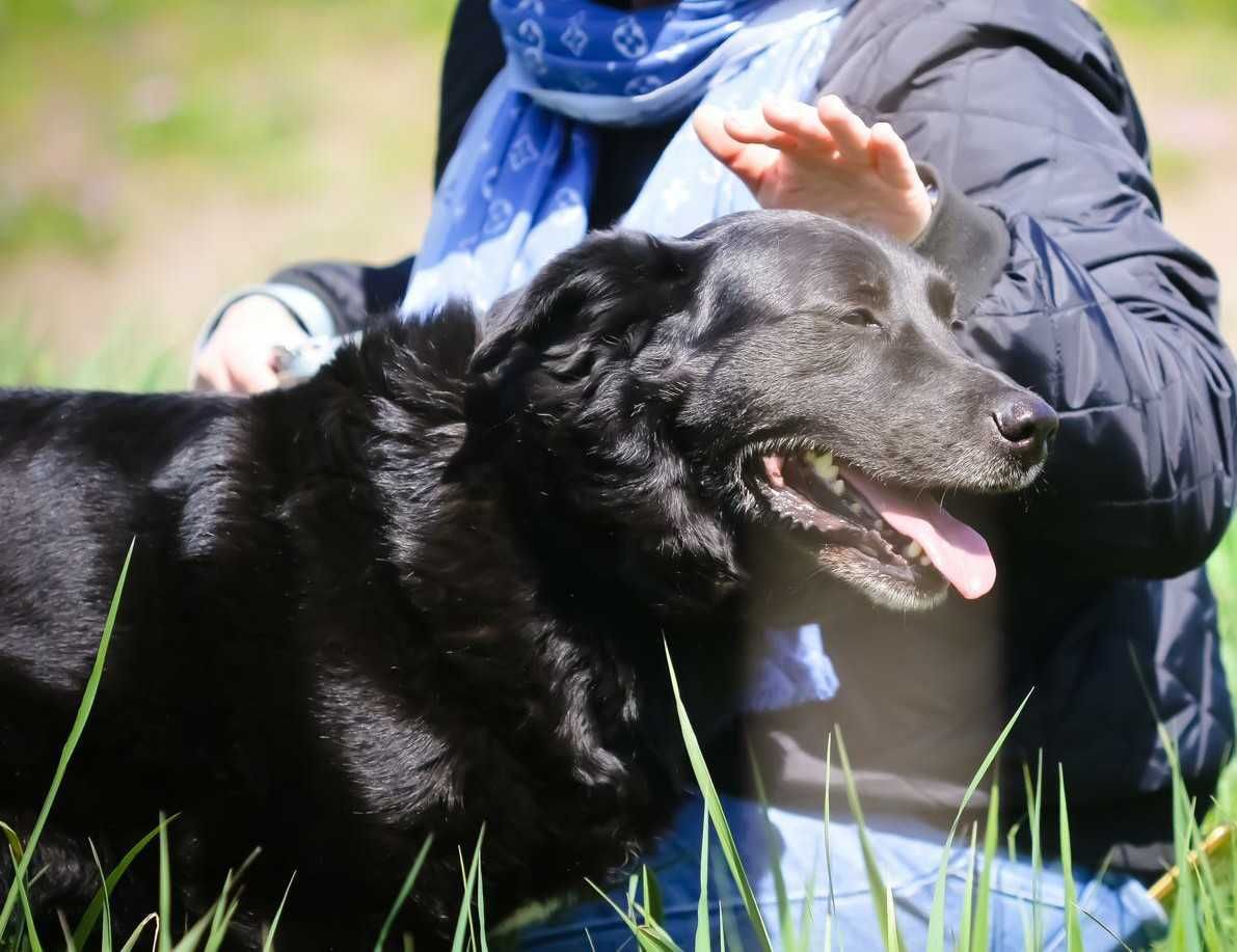 Okolo 6 letni piekny i wrazliwy Oskar